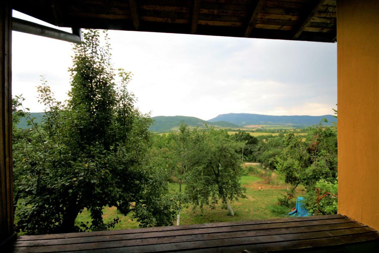 Chuchi Guest House 1 Zlatna Panega Exterior photo