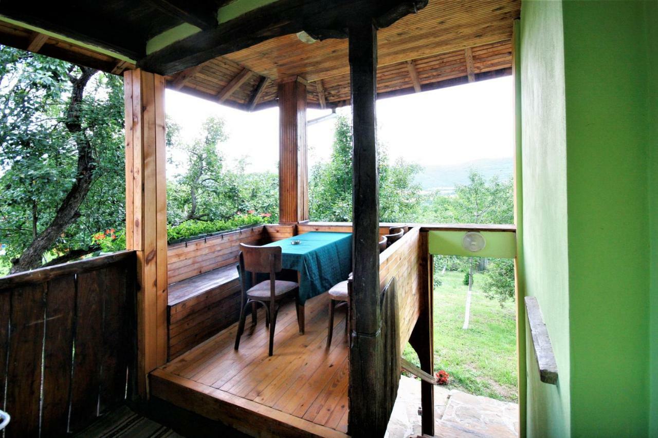 Chuchi Guest House 1 Zlatna Panega Exterior photo